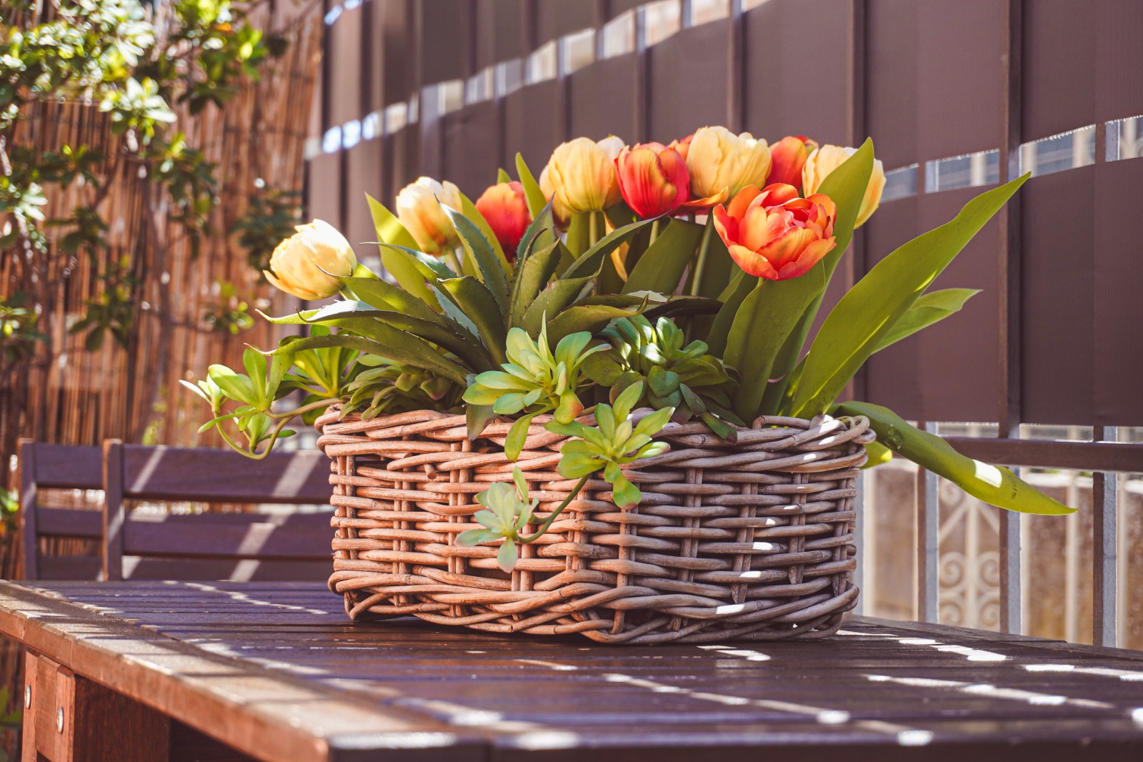 casa_lidia_3